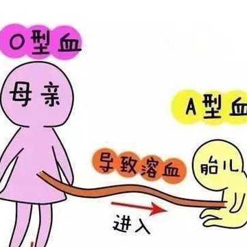 ABO溶血長(zhǎng)大后有什么影響嗎,ABO溶血對(duì)個(gè)體成長(zhǎng)的影響及其實(shí)地分析解析說(shuō)明,整體規(guī)劃執(zhí)行講解_版心43.72.13