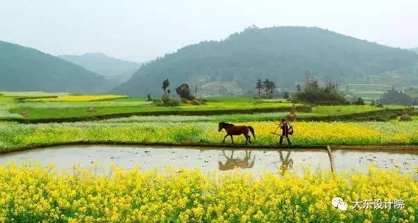 農(nóng)業(yè)農(nóng)村怎樣和旅游結(jié)合,農(nóng)業(yè)農(nóng)村與旅游結(jié)合的實(shí)踐執(zhí)行計(jì)劃，探索田園旅游新路徑,實(shí)踐策略設(shè)計(jì)_粉絲款60.21.64