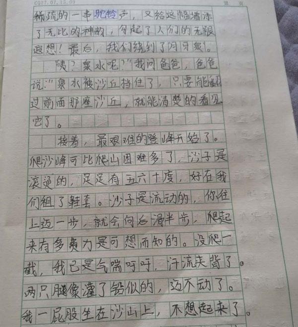 我和體育800字作文10篇