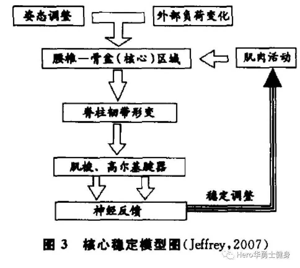 體育與體育科學的區(qū)別和聯(lián)系,體育與體育科學的區(qū)別和聯(lián)系，從定義到實踐經(jīng)驗解析,數(shù)據(jù)解析支持設計_十三行75.45.13