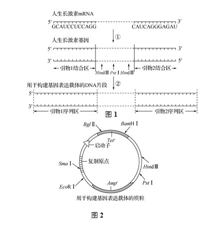 pcr擴增儀使用步驟