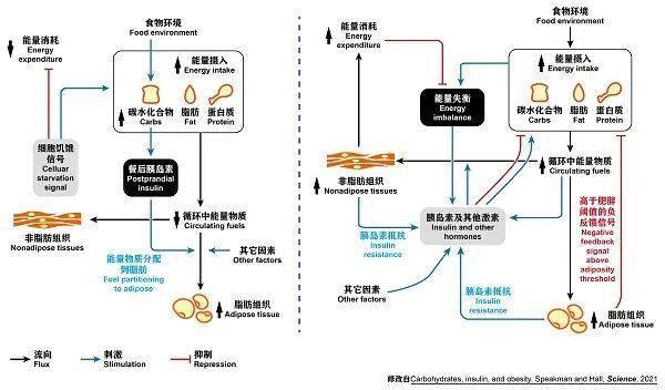 獨活 第3頁