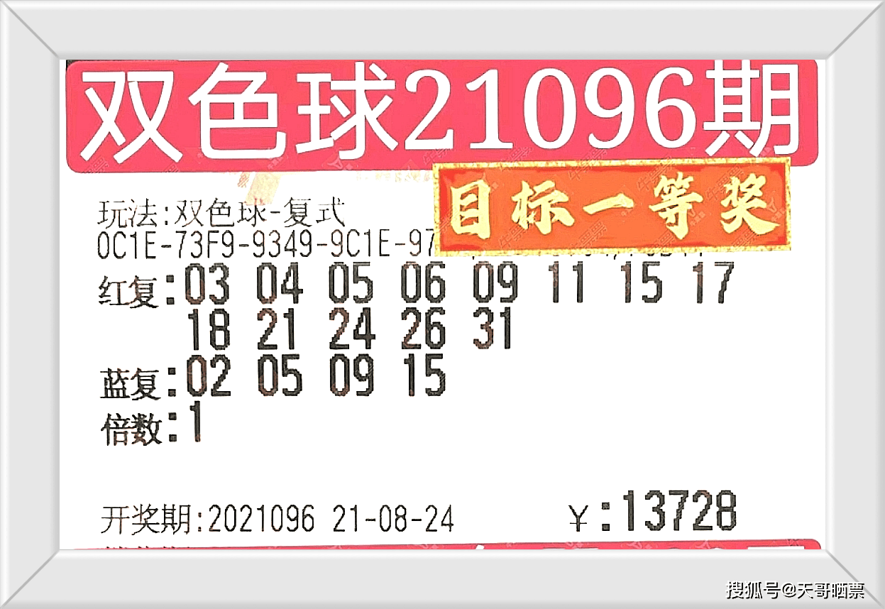 新奧門開獎結(jié)果2025香港,新奧門開獎結(jié)果2025香港，詮釋、說明與解析——版版67.79.88,實地分析數(shù)據(jù)應(yīng)用_pack26.17.23