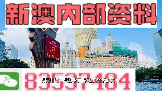 261新澳門內(nèi)幕資料,揭秘澳門內(nèi)幕，精細(xì)解析與創(chuàng)意展望——以澳門為靈感的故事探索,實地數(shù)據(jù)驗證實施_進(jìn)階版93.23.93