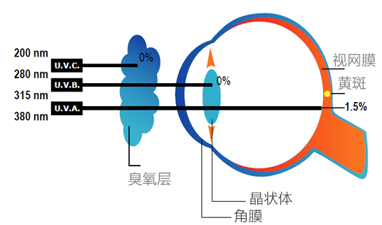 運(yùn)動(dòng)裝配什么眼鏡,運(yùn)動(dòng)裝配眼鏡的選擇與靈活操作方案設(shè)計(jì)——社交版視角的探索,權(quán)威方法解析_挑戰(zhàn)款57.32.39