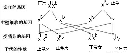 毛絨織物