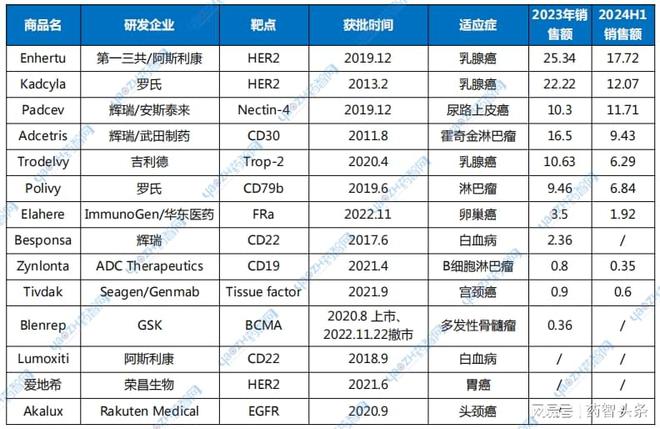 2024年12月26日 第31頁