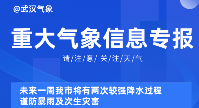 新澳精準(zhǔn)資料免費提供630期2025