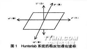 滌綸與測溫度機器人的區(qū)別,滌綸與測溫度機器人，技術差異與實地策略驗證計劃,全面實施數(shù)據(jù)策略_GM版26.95.71