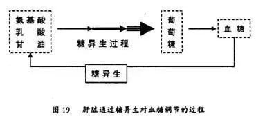 珠光粉怎么調(diào)