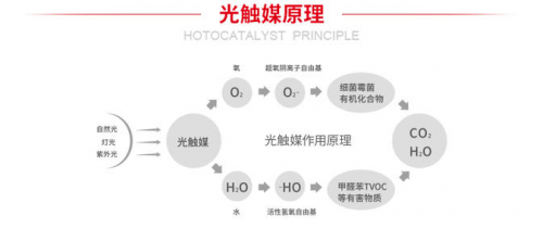 光觸媒噴墻上會脫落嗎