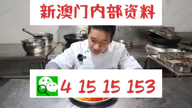 管家婆一碼一肖資料大全,管家婆一碼一肖資料大全與綜合性計(jì)劃定義評估，戰(zhàn)略版的新視角,定性解析說明_版國48.15.44