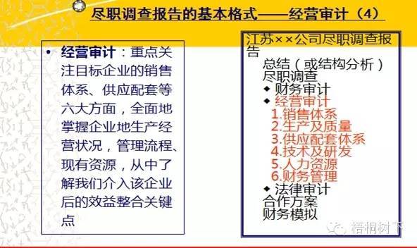 抓碼王,抓碼王，實踐調(diào)查解析說明與探索之旅,專業(yè)分析解析說明_版曹50.49.49