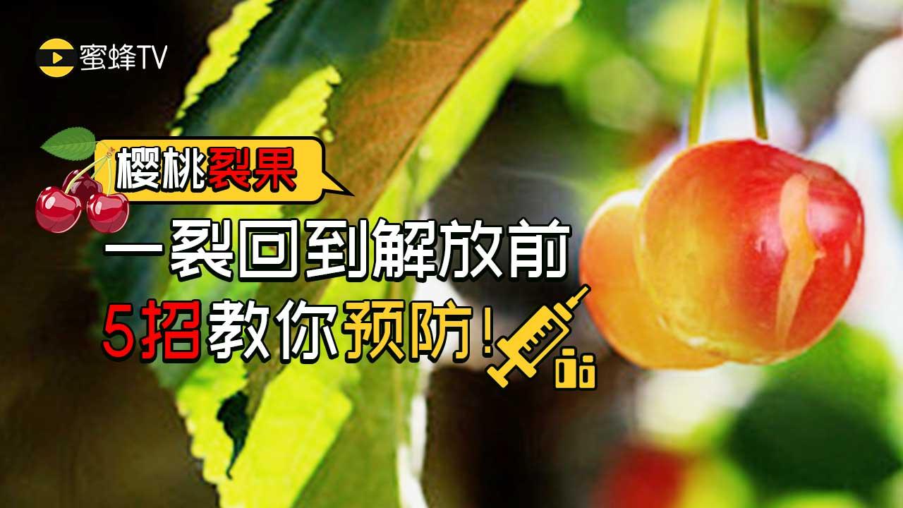 渤船集團(tuán)官網(wǎng),渤船集團(tuán)官網(wǎng)優(yōu)選方案解析說(shuō)明,創(chuàng)新設(shè)計(jì)計(jì)劃_桌面款49.18.34