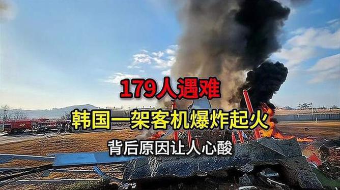 韓國(guó)客機(jī)爆炸179人遇難