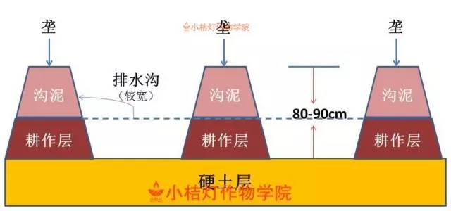 南京北站挖到古墓被停工？官方辟謠,穩(wěn)定性策略解析_P版85.81.59