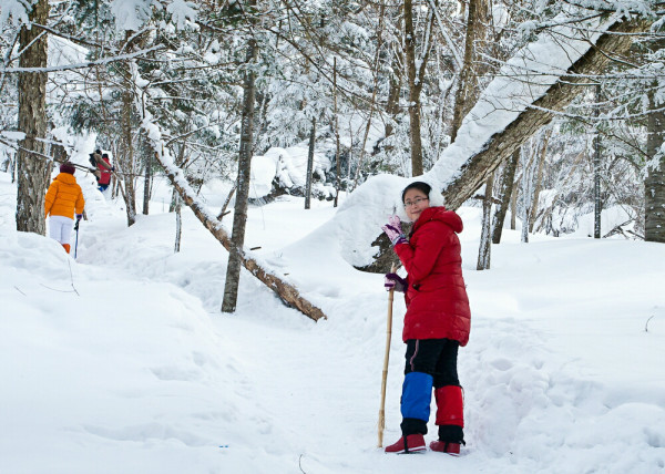 雪鄉(xiāng)景區(qū)大年初三將閉園？不實(shí),創(chuàng)新計劃執(zhí)行_GM版28.93.79