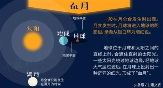 2025今晚澳門(mén)特馬開(kāi)什么號(hào),安全性方案解析_豪華款67.62.98