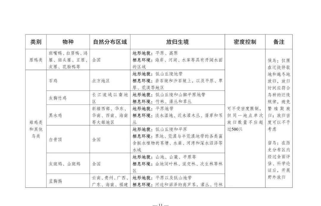 新奧門資料大全正版資料六肖