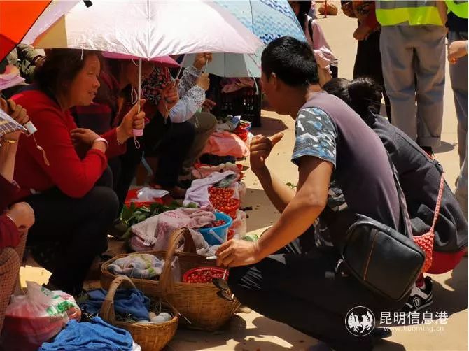 查一下今晚開什么特馬,三亞西島大量游客滯留高喊退票