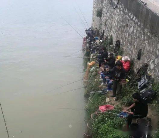 香港天下彩線路入口,釣魚的和不會(huì)釣魚的都沉默了